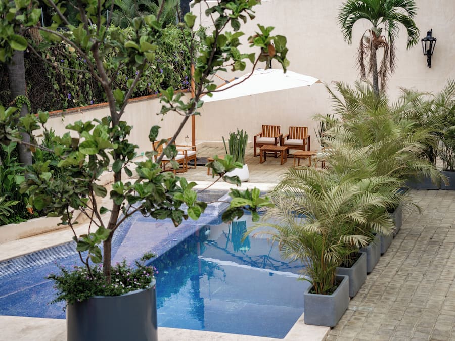Piscina externa