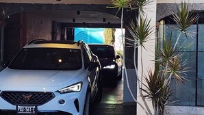 Une voiture blanche est garée dans un garage, et un pot de fleurs est placé au premier plan.