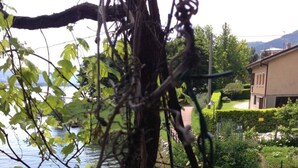 A balcony with a view of a body of water, a garden, and a building in the background. - House & Lake - Pescate - Lecco (Galbiate)