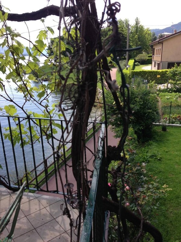 A balcony with a view of a body of water, a garden, and a building in the background.