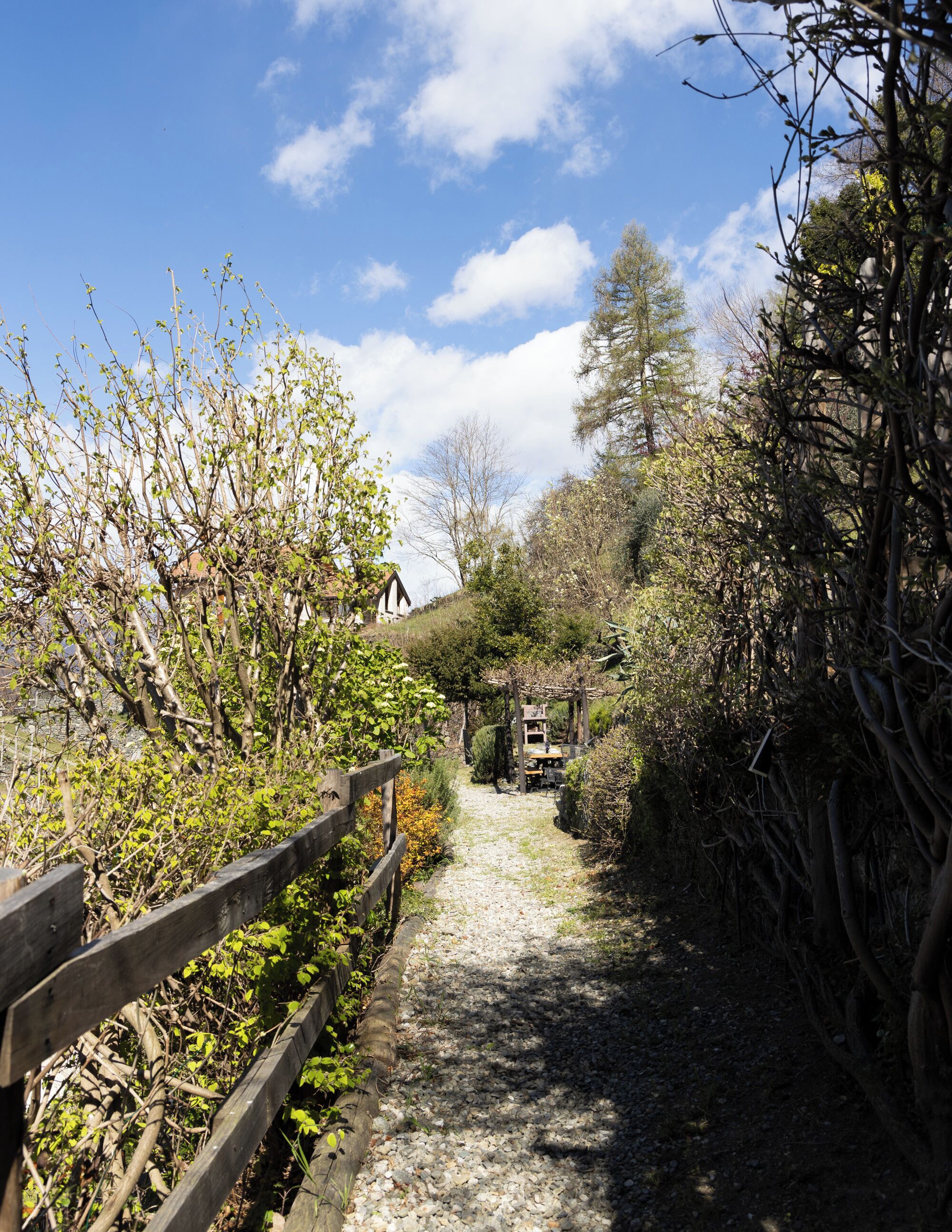 A gravel path leading to a rustic wooden structure with a thatched roof, surrounded by dense shrubbery and trees.