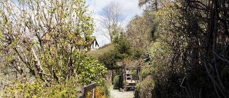 A gravel path leading to a rustic wooden structure with a thatched roof, surrounded by dense shrubbery and trees.