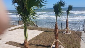 A coastal walkway with palm trees and a view of the ocean. - South Shores Motel (Daytona Beach Shores)