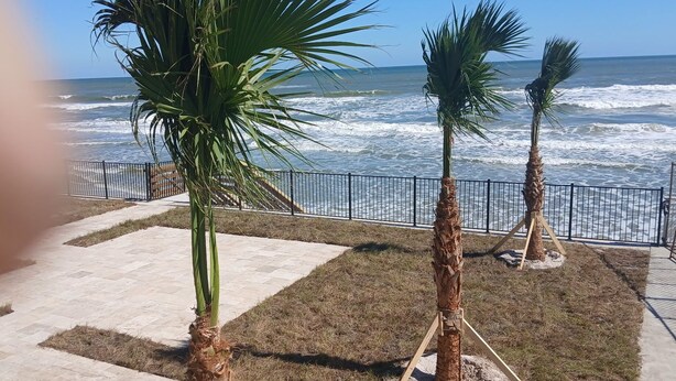 Una passeggiata costiera con palme e vista sull'oceano.
