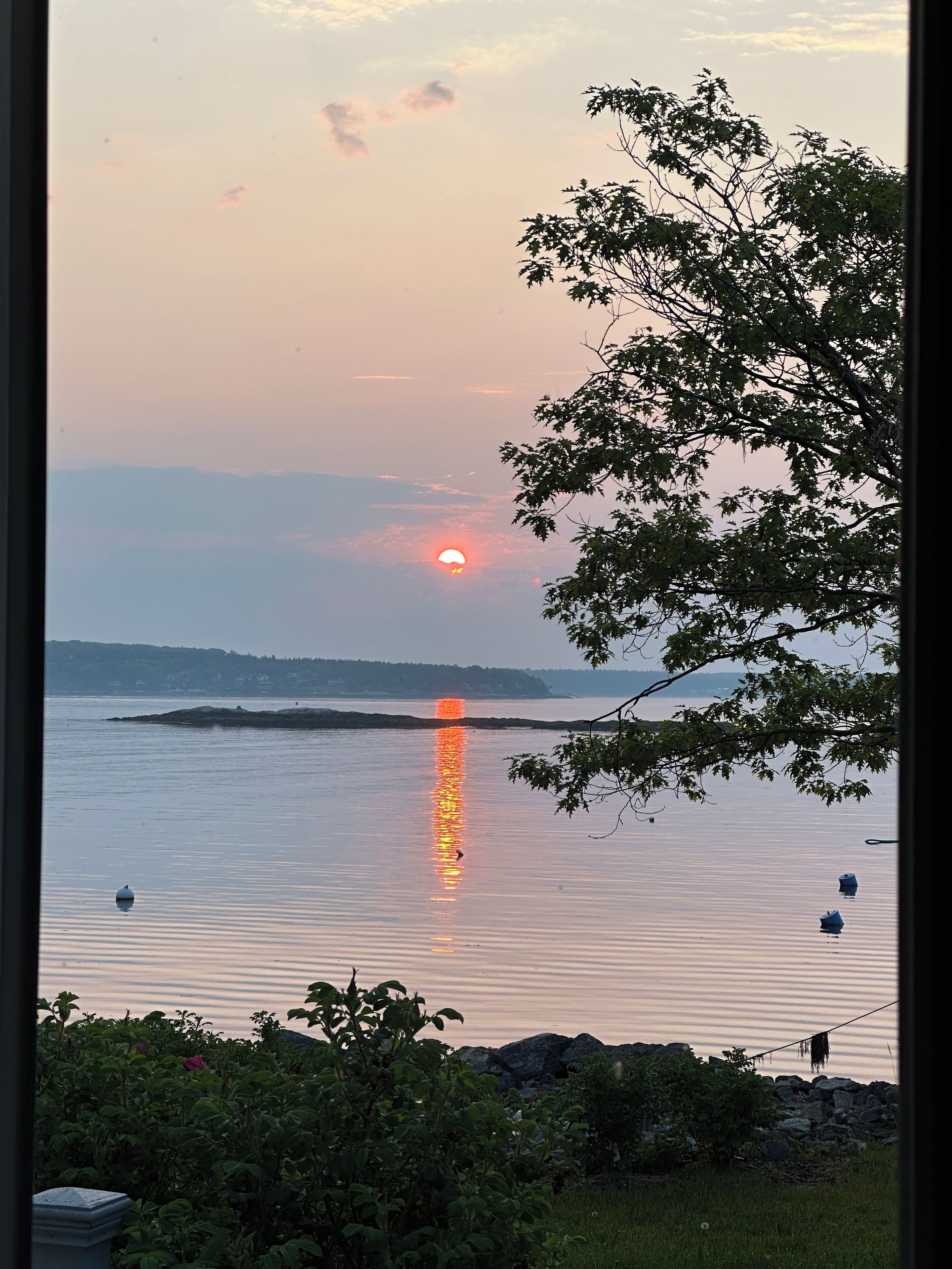 A sunset over a calm body of water with a distant landmass and a tree in the foreground.
