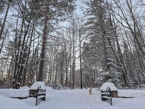 A snowy forest path with a dog walking away from the camera.
