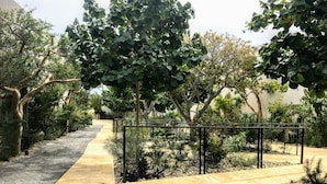 Un sendero pavimentado que atraviesa un jardín ajardinado con diversas plantas y árboles.
