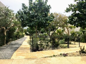 Un chemin pavé traverse un jardin aménagé où l’on trouve différentes espèces de plantes et d’arbres.