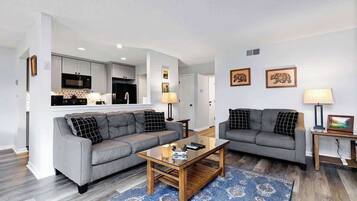 Smart TV, fireplace, books
