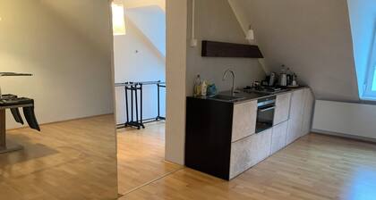 Romantic apartment in a quiet, central location next to Augarten Park