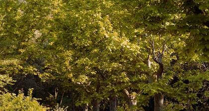 Domaine de Montaud Friends & Family Holidays in the Heart of Provence