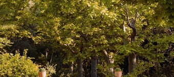Domaine de Montaud Friends & Family Holidays in the Heart of Provence