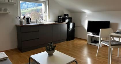 Cozy attic apartment in 77978 Schuttertal for up to 4 people