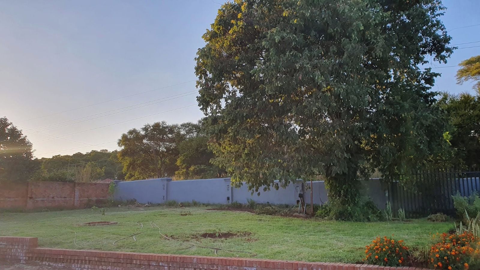 A grassy backyard with a large tree, a brick wall, and a fence.