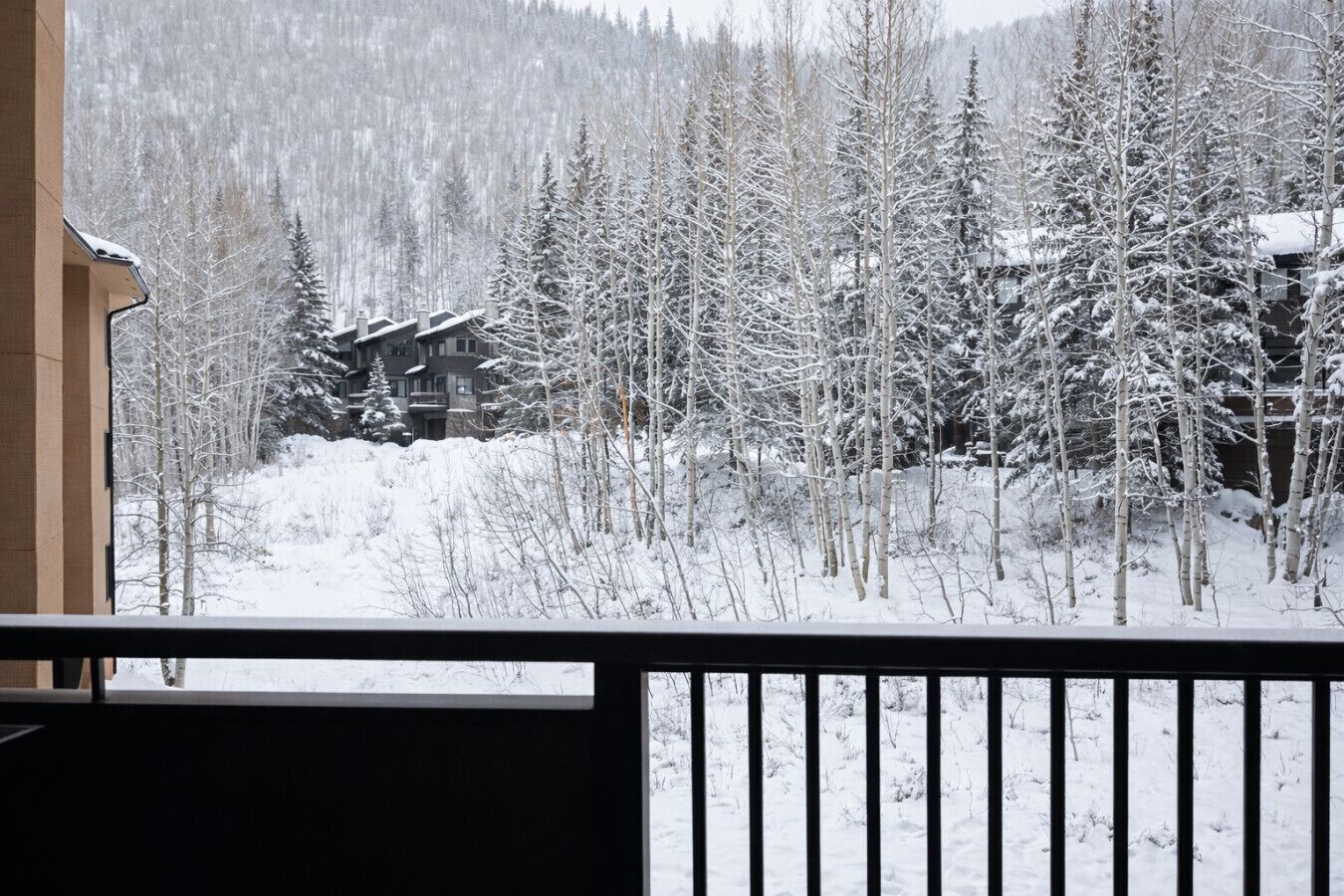 Terrain de l’hébergement 