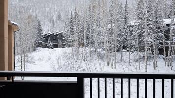 Terrain de l’hébergement