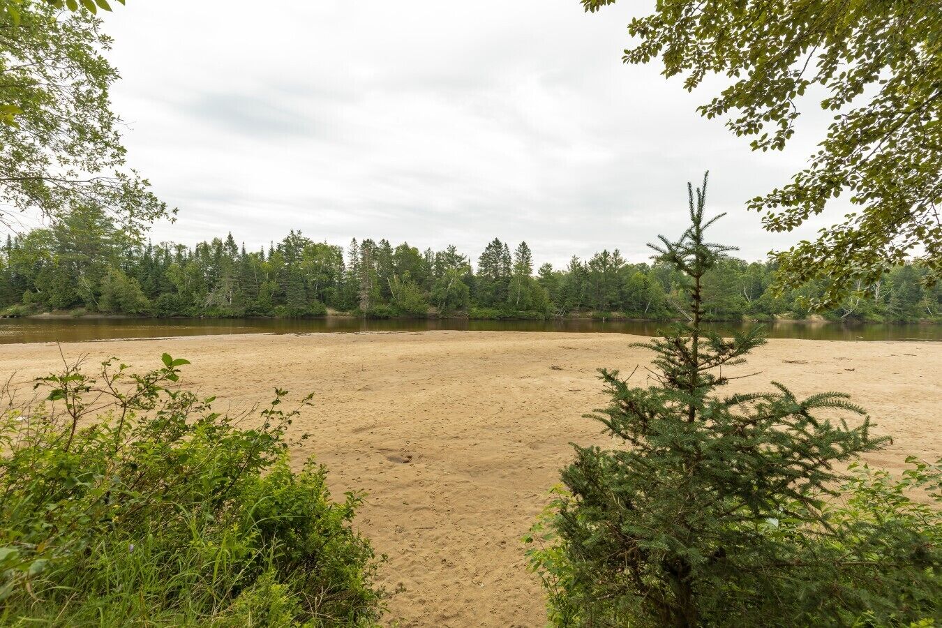 Une plage de sable bordée d’une forêt dense.