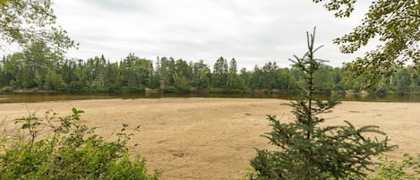 A sandy beach with dense forest in the background.