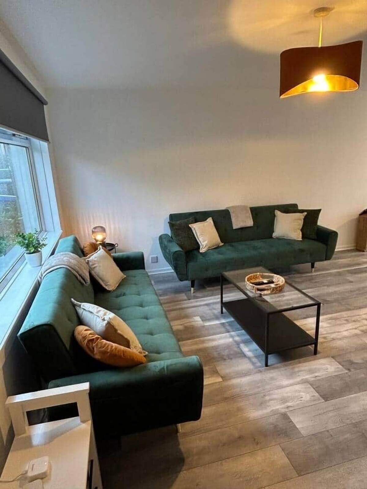 Imagen de perfil del propietario o de la propietaria