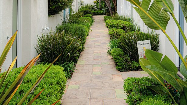 A narrow pathway flanked by lush greenery and white walls with terracotta roof tiles. - Cozy 2-bedroom townhome in OB with sunny deck and AC (San Diego)