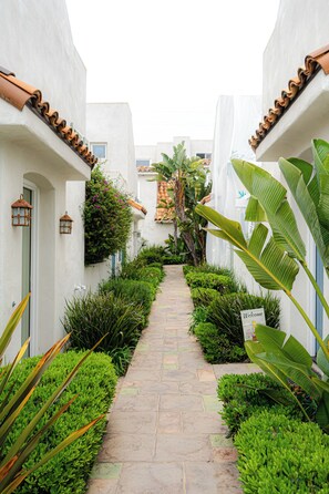 Um caminho estreito ladeado por vegetação exuberante e paredes brancas com telhas de barro.