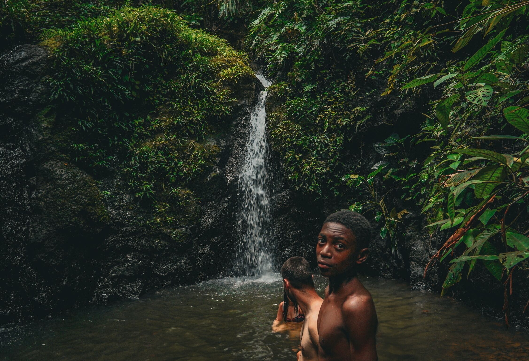A waterfall in a lush, green forest setting.