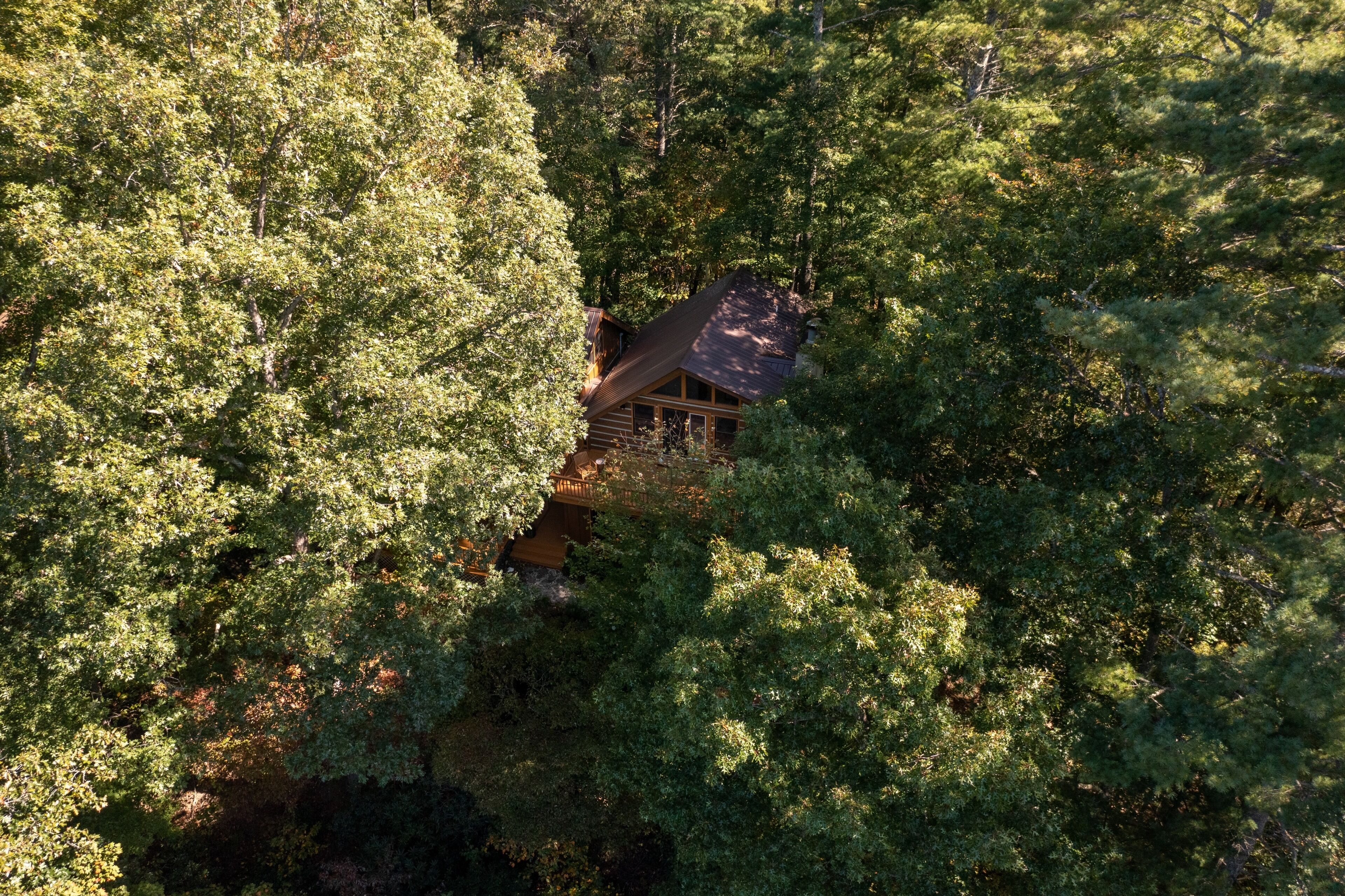 Une cabane nichée au milieu d’une forêt dense, dotée d’une terrasse en bois visible et d’un toit en pente.