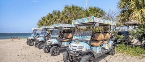 Cuatro carritos de golf estacionados en una playa arenosa con palmeras al fondo.