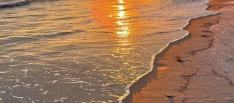 Brand New~Pool Side View~1st Floor