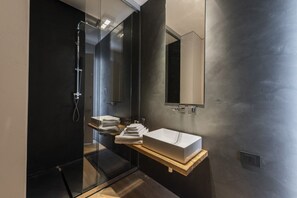 Regadera, secadora de cabello, bidet, toallas 