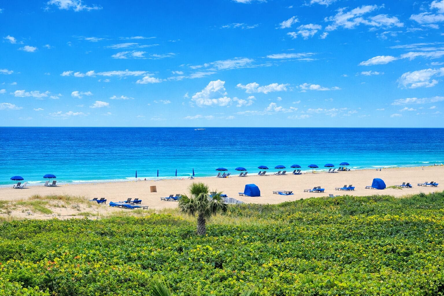Perto da praia, toalhas de praia 