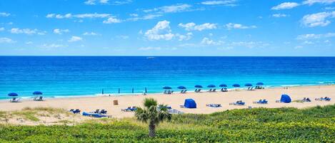 Plage à proximité, serviettes de plage