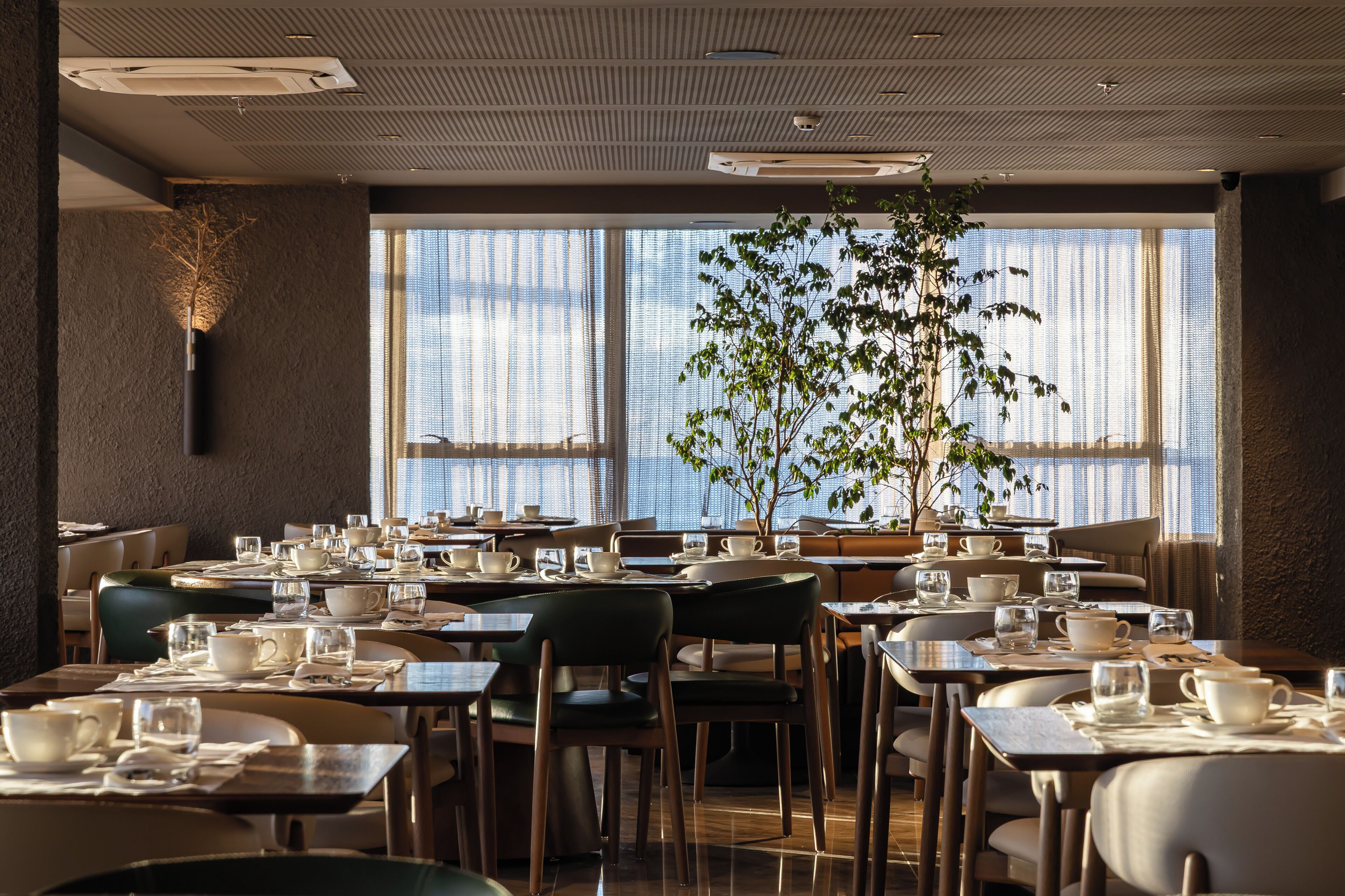 A restaurant with tables set for dining, large windows, and a central plant.