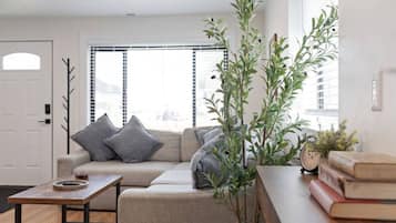 Smart TV, fireplace, computer monitors