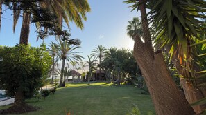 Property grounds - Almabella 2 is your Resort, tranquility assured. (Breña Baja)