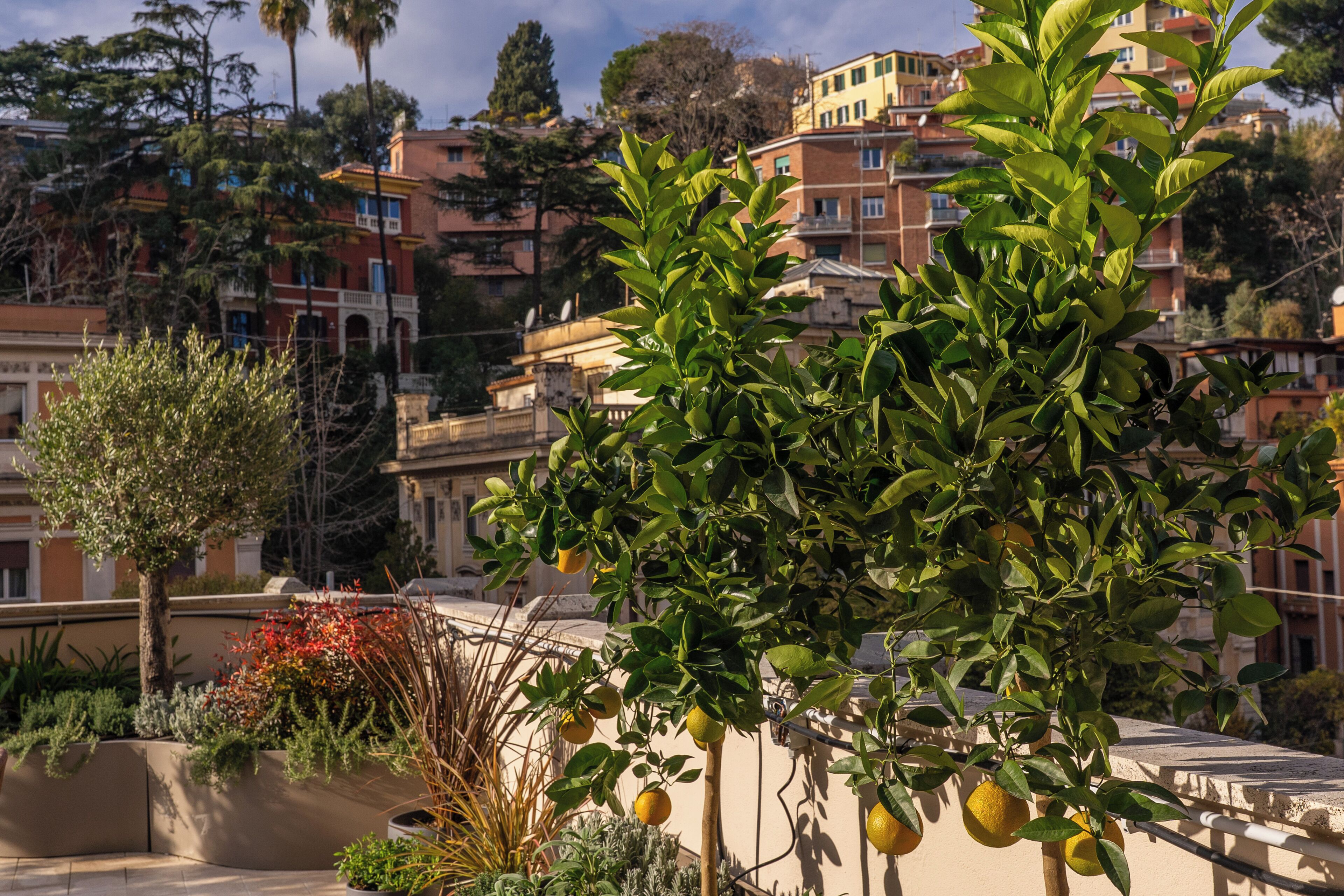 Enceinte de l’hébergement