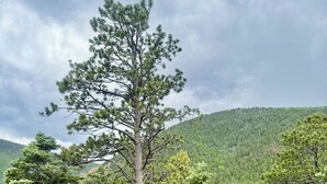 A deck with a stone fire pit, two chairs, and a view of a forested mountain. - Bear House in the mountains Cuchara Co. (La Veta)