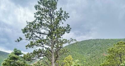Bear House in the mountains Cuchara Co.