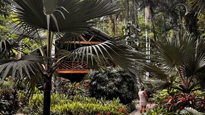 Un sendero en un jardín rodeado de diversas plantas tropicales y una palmera.