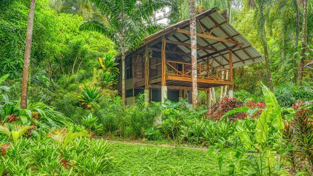 Una estructura de madera rodeada de exuberante vegetación tropical.