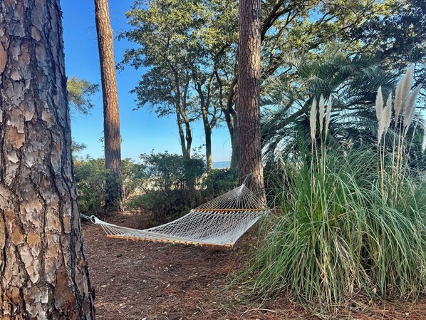A hammock between trees in a forested area with a view of the ocean.
