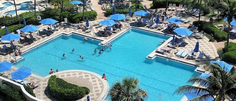 A large outdoor swimming pool surrounded by lounge chairs and umbrellas, with palm trees and a well-maintained garden.