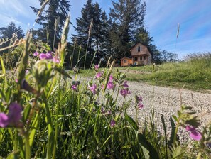 Property grounds - Farmhouse Retreat 15 minutes from downtown Victoria (Victoria)
