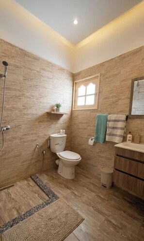 Shower, bidet, soap, toilet paper