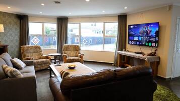 Smart TV, fireplace, books