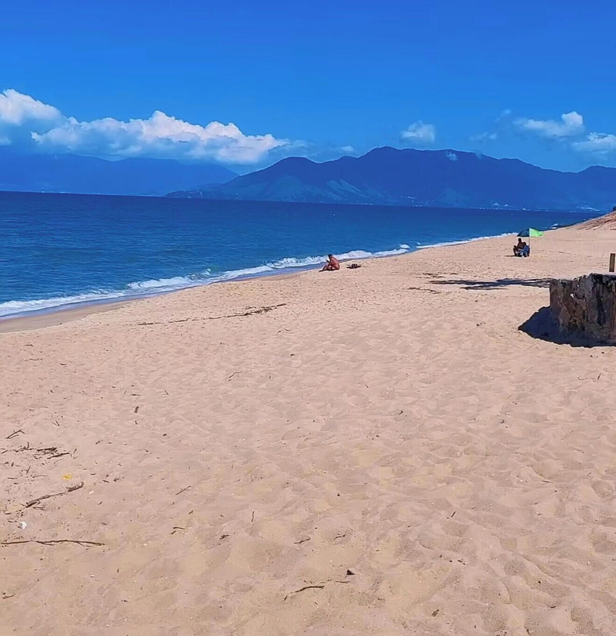 Imagen de perfil del propietario o de la propietaria