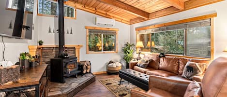 Télévision, cheminée, livres