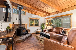 Fernseher, Kamin, Bücher