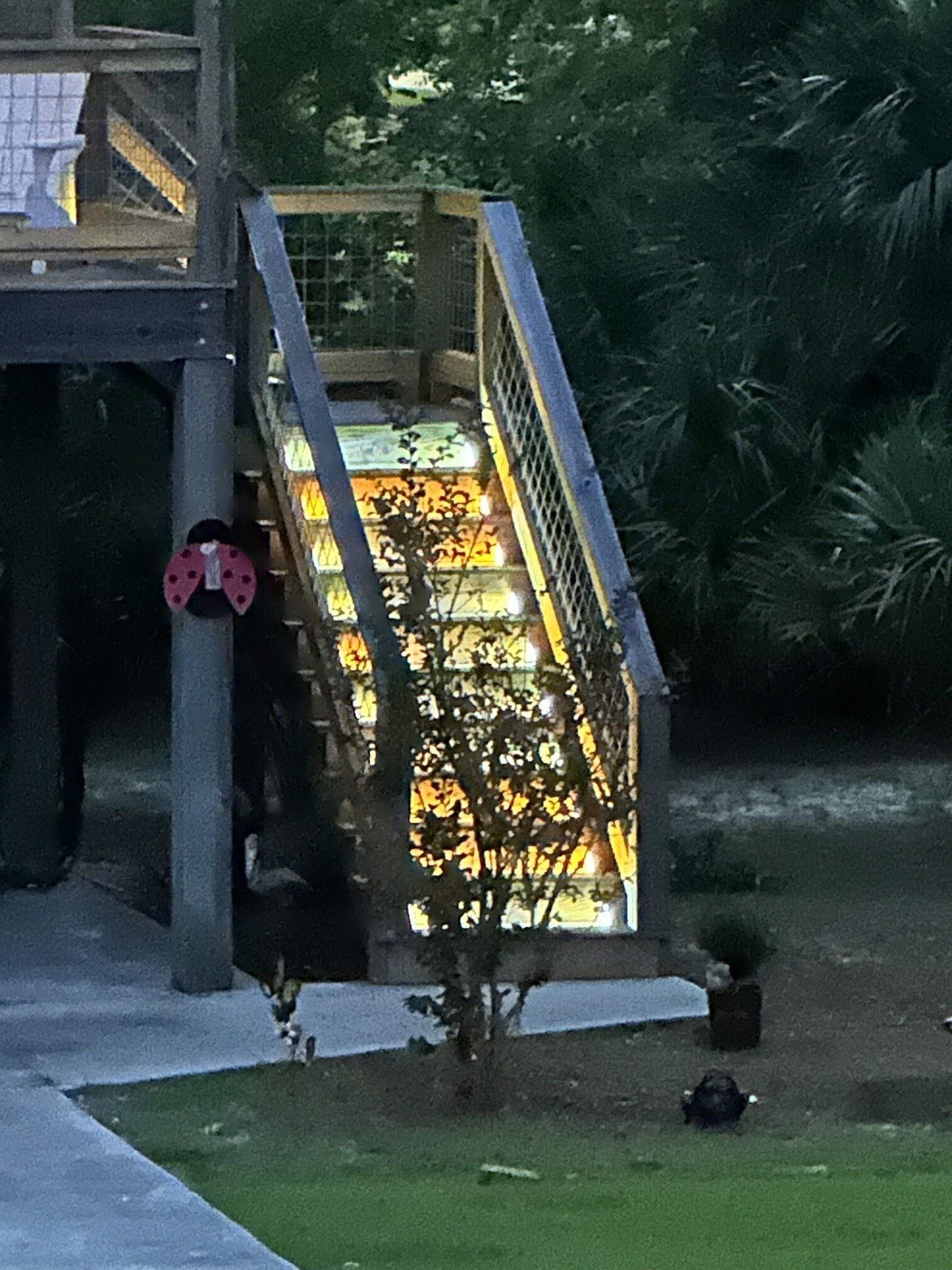 A staircase leading to a building with a metal railing and a small tree at the bottom.