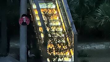 A staircase leading to a building with a metal railing and a small tree at the bottom.